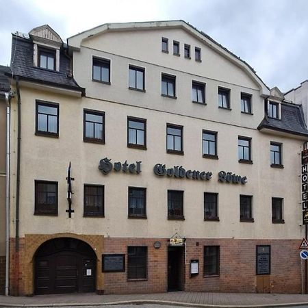 Hotel Goldener Loewe Zeulenroda-Triebes Kültér fotó